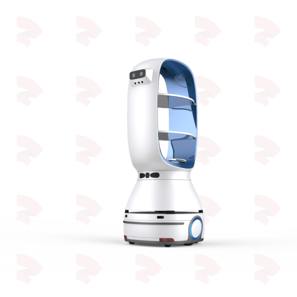 Delivery Robot T1