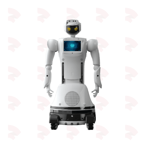 Sanbot Max