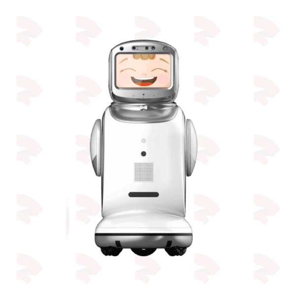 Sanbot Nano