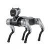 MagicDog Edu